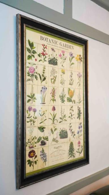 *Stunning* The Botanist Rest Ventnor Iow Villa Eksteriør billede