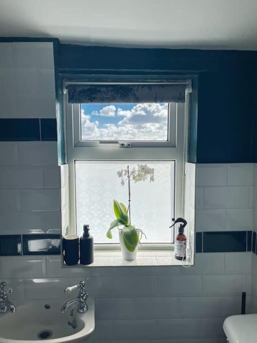 *Stunning* The Botanist Rest Ventnor Iow Villa Eksteriør billede