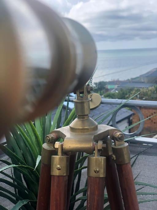 *Stunning* The Botanist Rest Ventnor Iow Villa Eksteriør billede