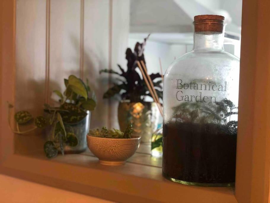 *Stunning* The Botanist Rest Ventnor Iow Villa Eksteriør billede