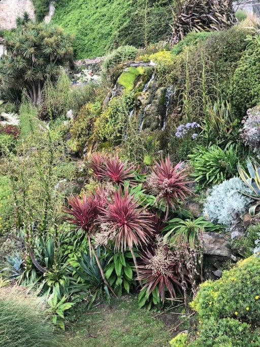 *Stunning* The Botanist Rest Ventnor Iow Villa Eksteriør billede