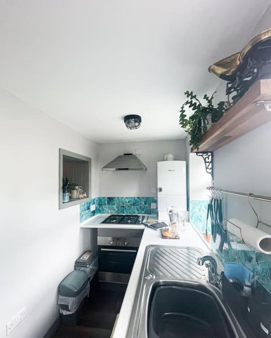 *Stunning* The Botanist Rest Ventnor Iow Villa Eksteriør billede