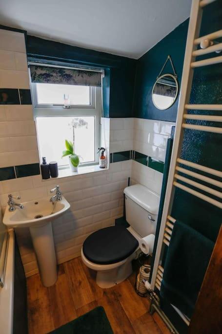 *Stunning* The Botanist Rest Ventnor Iow Villa Eksteriør billede
