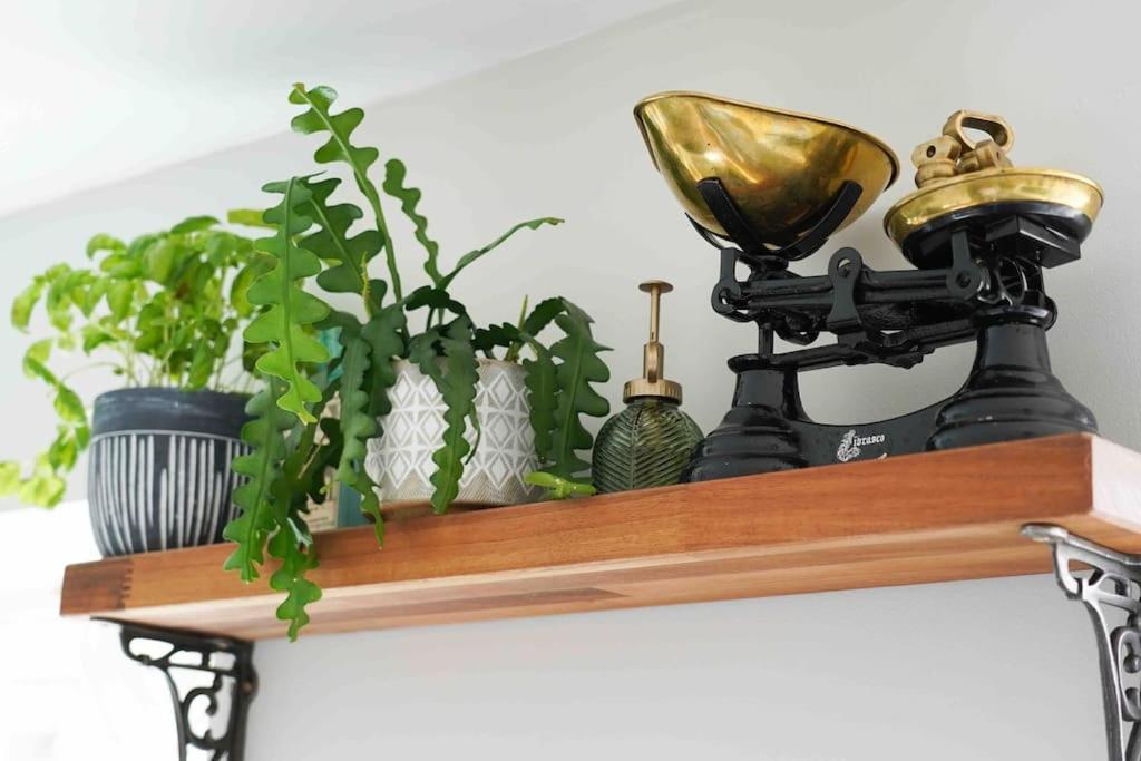 *Stunning* The Botanist Rest Ventnor Iow Villa Eksteriør billede